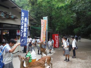 鹿にえさやり